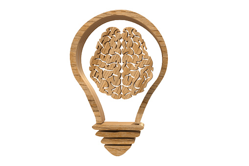 Wooden Lightbulb with Brain Sign on white background