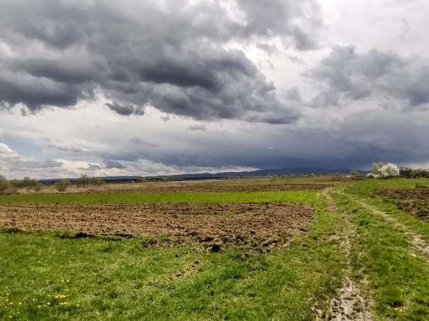 istock Cloudy sky in the distance. Spring landscape in Romania 1482429583
