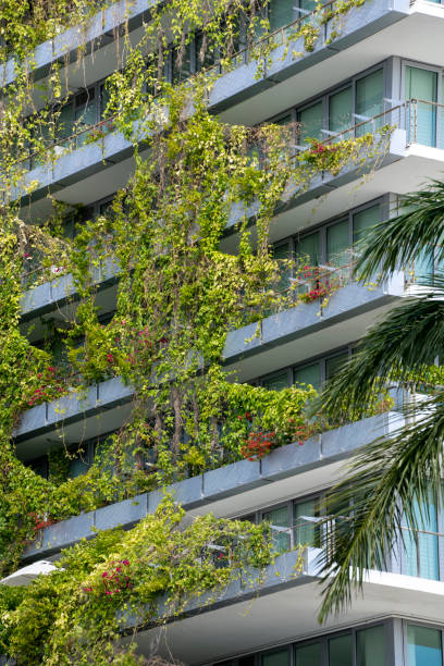 istock Greenery covers side of modern residential building 1482431580