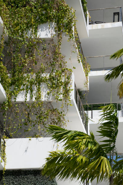 istock Greenery covers side of modern residential building 1482432155