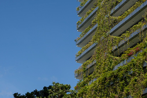 Lush foliage cascading down side of modern building in urban setting, Fort Lauderdale Florida