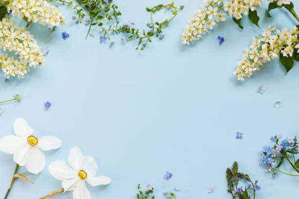 istock Spring flowers flat lay on blue background. Floral card template with space for text. Happy easter! Mothers day! Daffodils, forget me nots and wildflowers in frame layout 1482435093