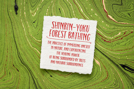 Japanese concept of shinrin-yoku - forest bathing, the practice of immersing oneself in nature, and experiencing the healing power of being surrounded by trees and natural surroundings.