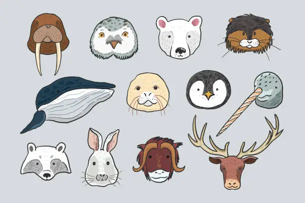 Vector illustration of Arctic animals funny faces vector illustrations set.