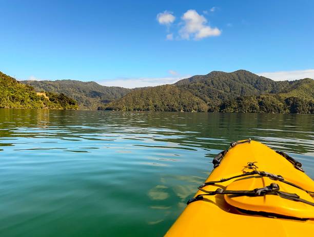 istock Kayak in Queen Charlotte Sounds 1482439031