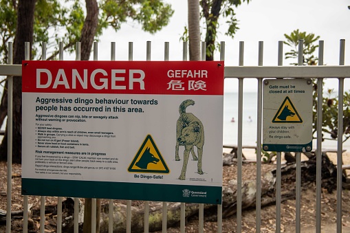 Fraser Island, Australia - February 6, 2023 :  Sign warning of aggressive dingo danger on beach of Fraser Island, Australia.