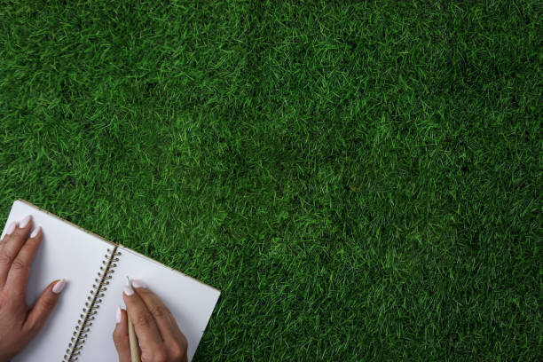 istock A person writing on a notebook on a field of grass 1482442640