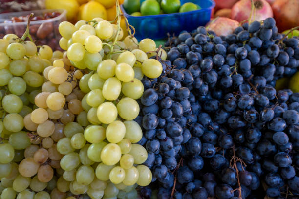 istock Display of fresh colorful grapes on market 1482444848