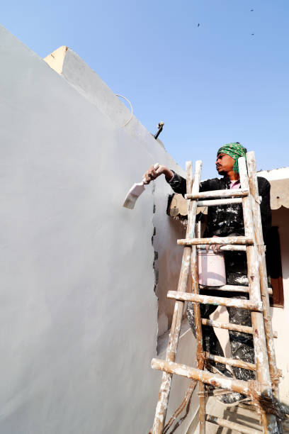 Painter painting the wall with paintbrush during New Year celebration Painter climbing on ladder and painting the wall with roller and brush during Diwali/ New Year festival at home. house painter ladder paint men stock pictures, royalty-free photos & images