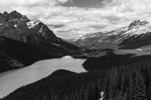 Peyto Lake and Canadian Rocky Mountains in black and white, Banff national park, Canada.