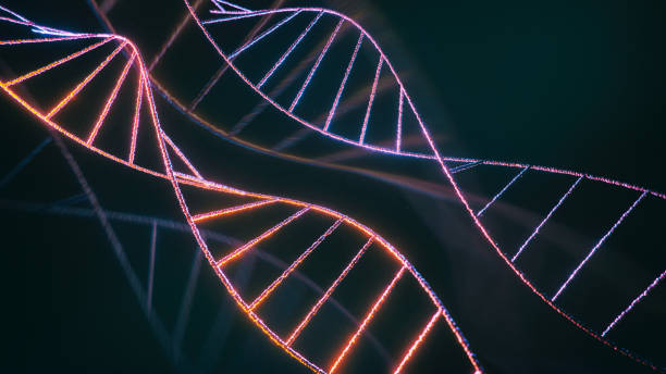 istock 3D images of DNA molecules 1482458592