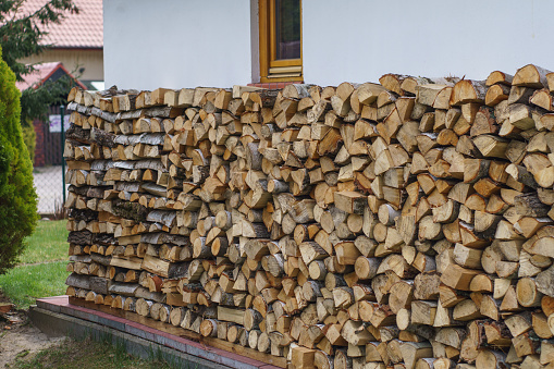 Freshly chopped wood