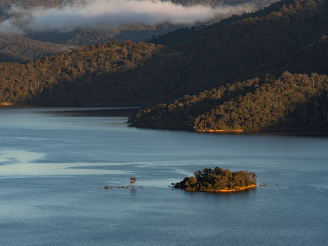 Little island on Lake Eildon with flooded tree in morning light and cloud