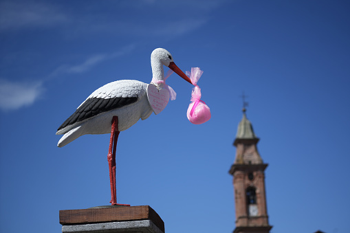 White stork announcing the birth of a baby girl. Delivery of a newborn baby