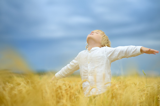 Pray for Ukraine. Child is on the background of bly sky and yellow wheat field. Background have colors of the Ukrainian flag. Concepts of freedom, peace and independence.