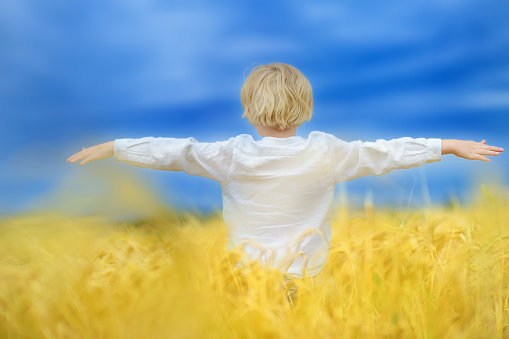 Pray for Ukraine. Child is on the background of bly sky and yellow wheat field. Background have colors of the Ukrainian flag. Concepts of freedom, peace and independence.