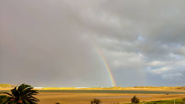 istock rainbow on the beach with palm trees horizontal landscape photo 1482479591
