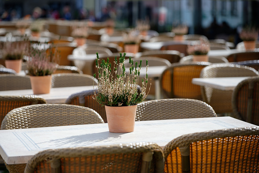 flower pots with plants on tables of an empty excursion restaurant in the sunshine