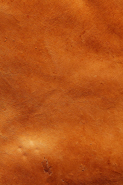 istock old weathered leather  background stock photo image 148248285
