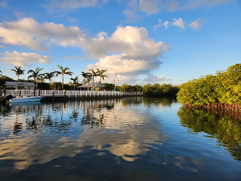 Tropical landscape with palm trees reflected in a canal at sunrise, in Key West, Florida.