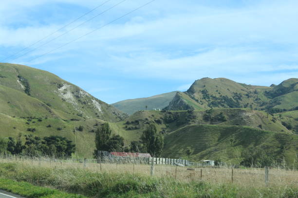 istock New Zealand 1482485633
