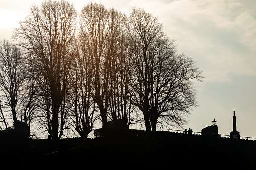 A silhouette view of winter trees and the war memorial and castle wall in the town centre of Knaresborough in North Yorkshire, England, UK
