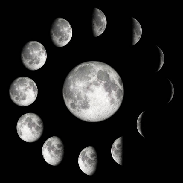 Moon Phases Infographic stock photo