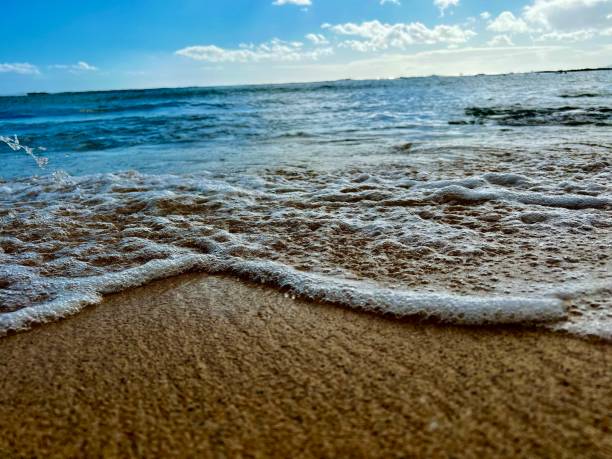 istock Close-Up of Water on Sand 1482501252