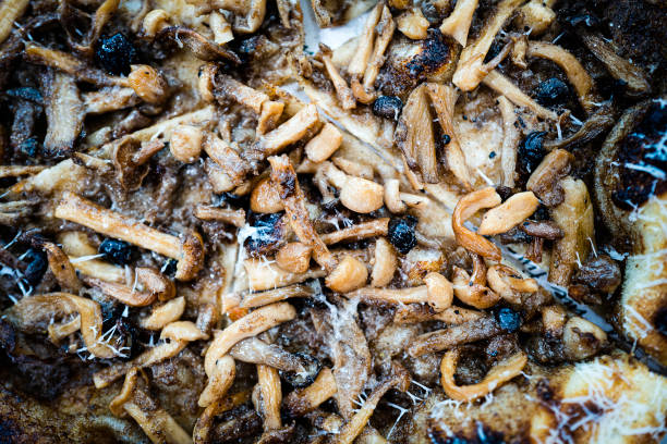 Mushroom pizza - mushroom pizza
