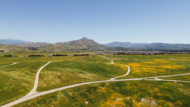 istock Drone Flight over Temecula, California Wine Country 1482506400