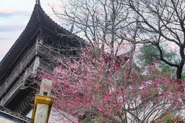 istock Ancient historical town in South China 1482507234