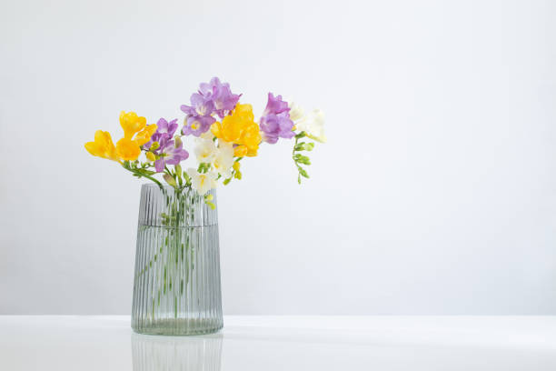 istock freesia flowers  in glass modern vase on white background 1482507449