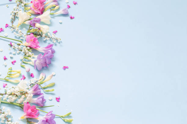 istock spring beautiful  flowers on blue background 1482507470
