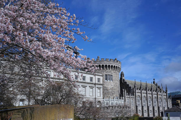 Château de Dublin - Photo