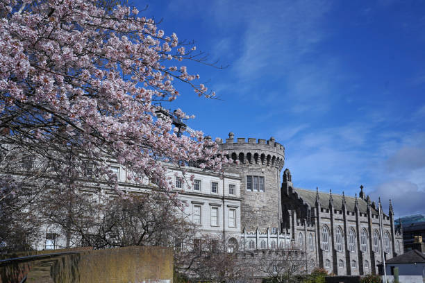 Castelo de Dublin - foto de acervo