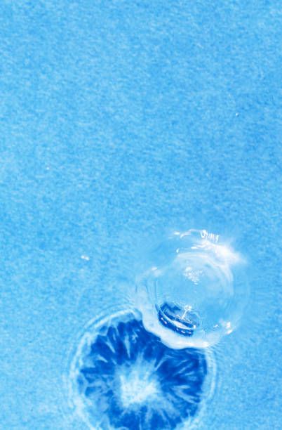 The leaping raindrops on the surface of the sea.
