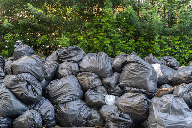 istock Wrinkled plastic bags texture pattern. Plenty of biodegradable bags piled up against a wall of leaves. 1482524321