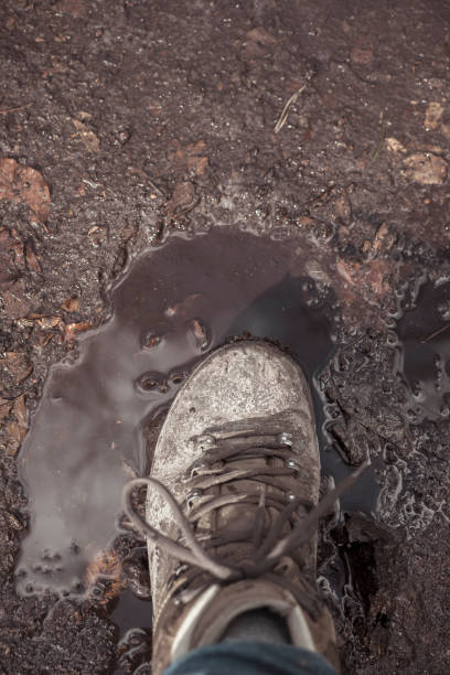 istock Vertical shot of hiking boot stepping into mud 1482533918