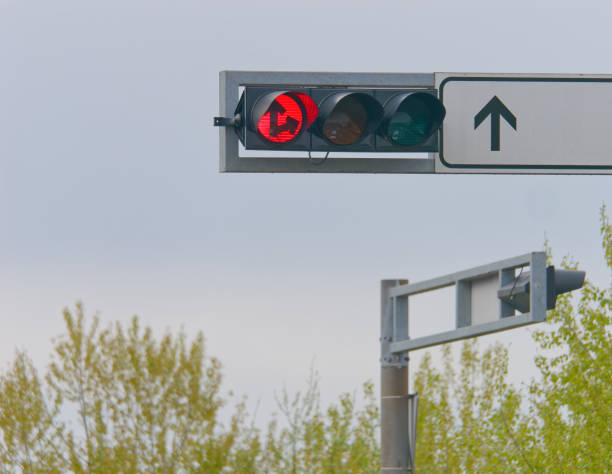 istock Red traffic light with a sky and trees in the background 1482546423