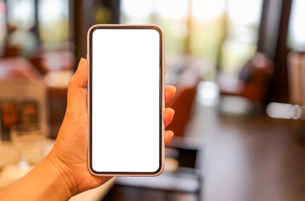istock Women's hands holding cell telephone blank copy space screen. smartphone with blank white screen isolated on white background . smart phone with technology concept 1482546508
