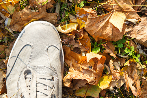 Comfortable casual gray leather shoes on green grass with orange autumnal leaves. Place for text or inscription