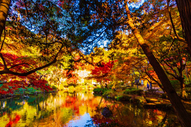 Autumn colours at a lake near Narita