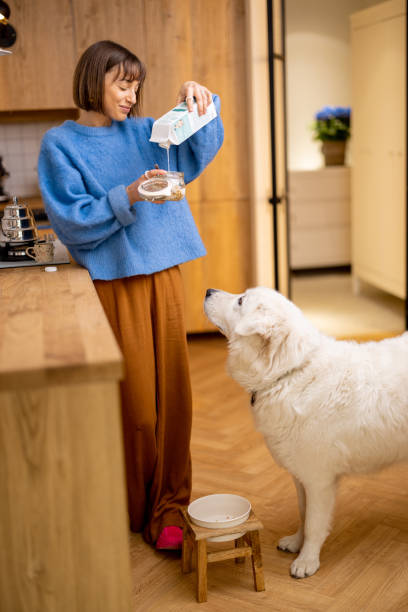 istock Woman makes a breakfast with her dog on kitchen 1482559526