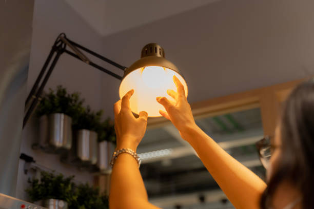 istock Hand woman changing with new LED lamp light bulb,Power saving concept. Reusing and recycling existing materials for future growth 1482561530