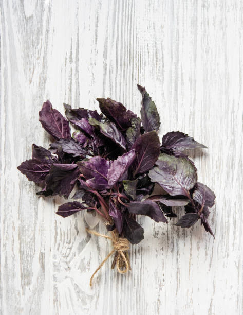 istock Fresh red basil  herbs in a bunch. Aromatic healthy spices on a light wooden background. 1482563086