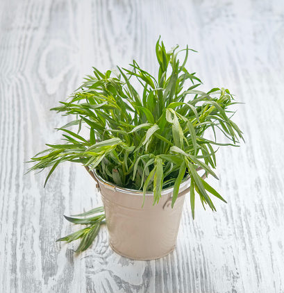 Fresh tarragon herbs in a bunch. Aromatic healthy spices on a light wooden background in a jar.