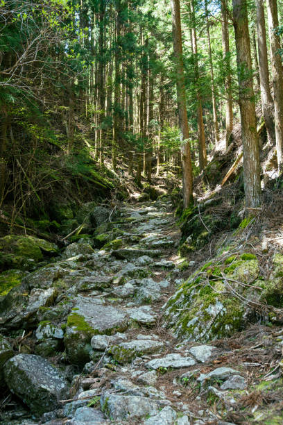 istock Stone pavement on the way up the Kumano Kodo 1482567476