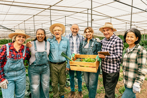 Happy multiracial farmers working inside greenhouse - Farm people cooperative concept