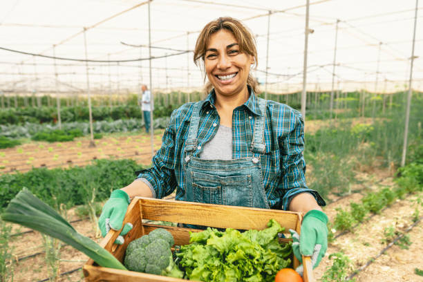 Happy Latin farmer working inside agricultural greenhouse - Farm people lifestyle concept stock photo
