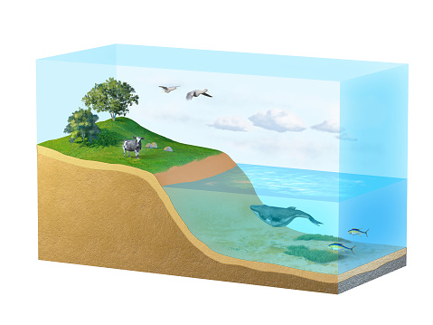 Detailed diagram of the Earth biosphere. Digital illustration, 3D rendering.